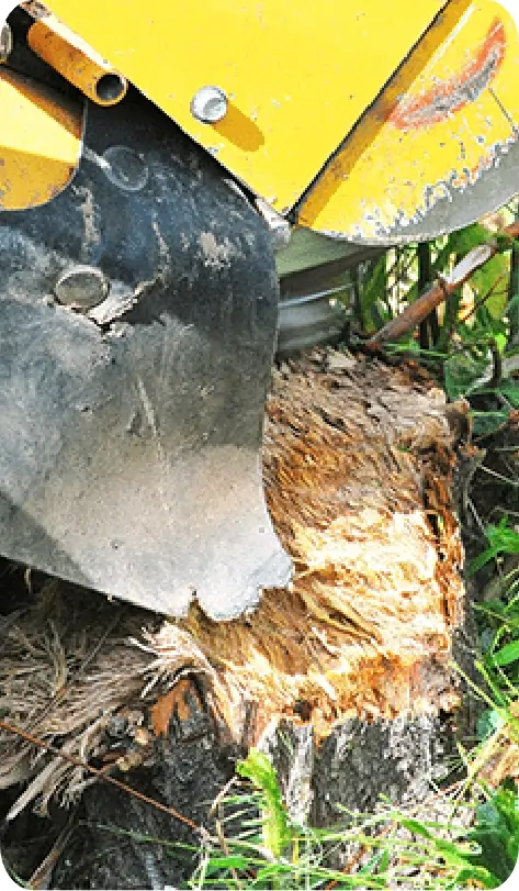 Rectangle-16 (2) (1)